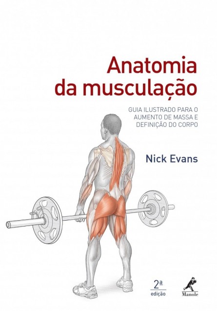 Anatomia da musculao