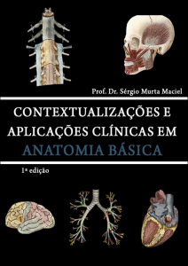 Anatomia Bsica