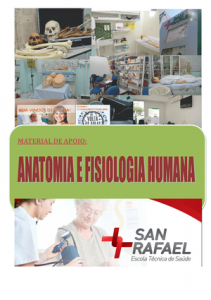 Anatomia e fisiologia humana