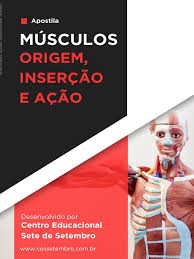 Apostila msculos: origem ao e insero muscular