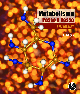 Metabolismo Passo A Passo